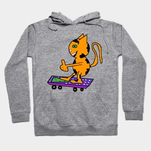 My cat loves skateboarding on Christmas Hoodie